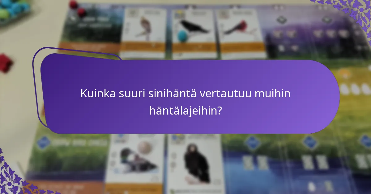 Kuinka suuri sinihäntä pesii?