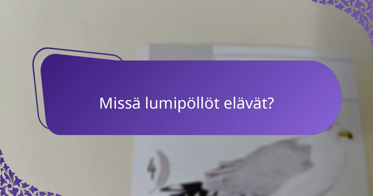 Kuinka lumipöllöt sopeutuvat ympäristöönsä?