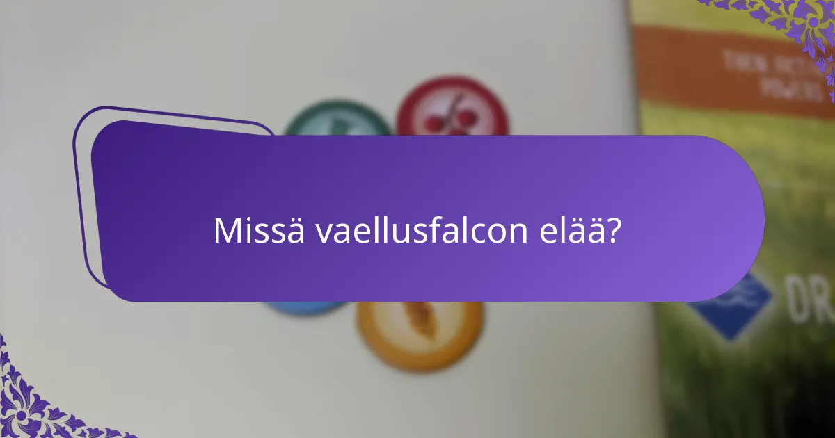 Kuinka vaellusfalconit pesivät?